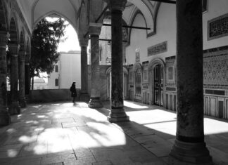 The Rich Quick-Silver Ore