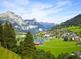 Before the Judge A Matter of Travel and Duty